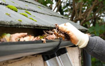 gutter cleaning Smallworth, Norfolk