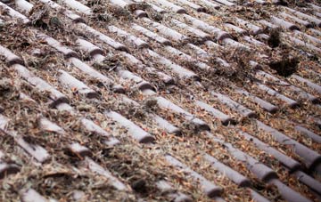 Smallworth roof cleaning companies